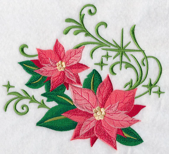 Christmas Poinsettias with Echoes - Image 5