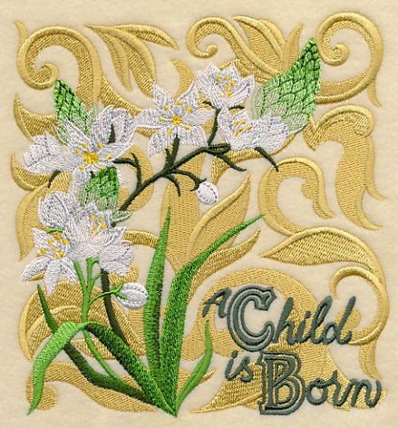 Christmas Spirit Blooms - Star of Bethlehem - Image 3