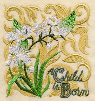 Christmas Spirit Blooms - Star of Bethlehem - Image 4