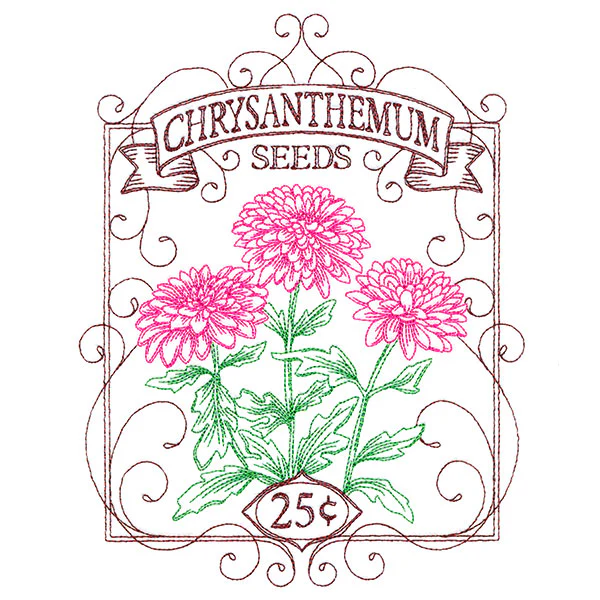 Chrysanthemum Seed Packet - Image 3