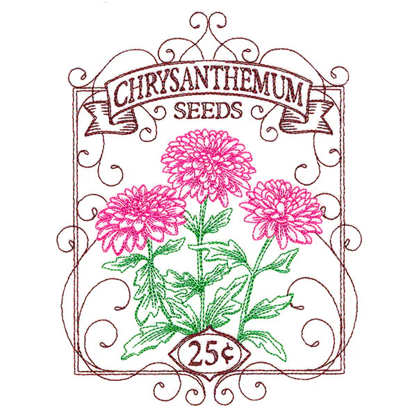 Chrysanthemum Seed Packet - Image 5