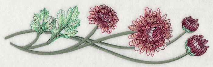 Classy Chrysanthemums Border 2 - Image 4