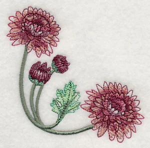 Classy Chrysanthemums Corner 2 - Image 3