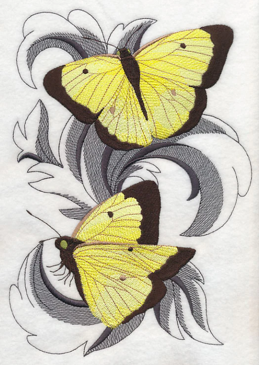 Clouded Sulfur Butterflies with Baroque Background - Image 5