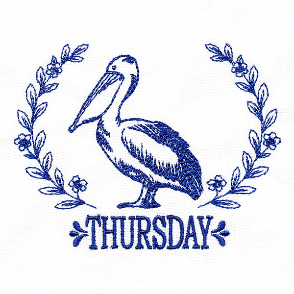 Coastal Pelican on Thursday - Image 2