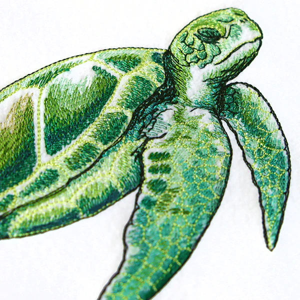 Coastal Sea Turtle - Image 6