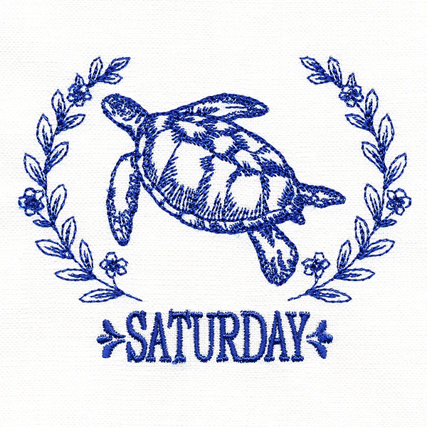 Coastal Sea Turtle on Saturday - Image 2