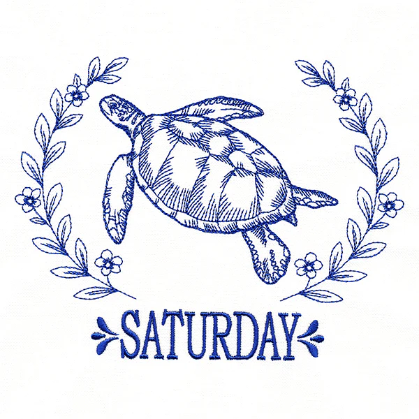 Coastal Sea Turtle on Saturday - Image 3