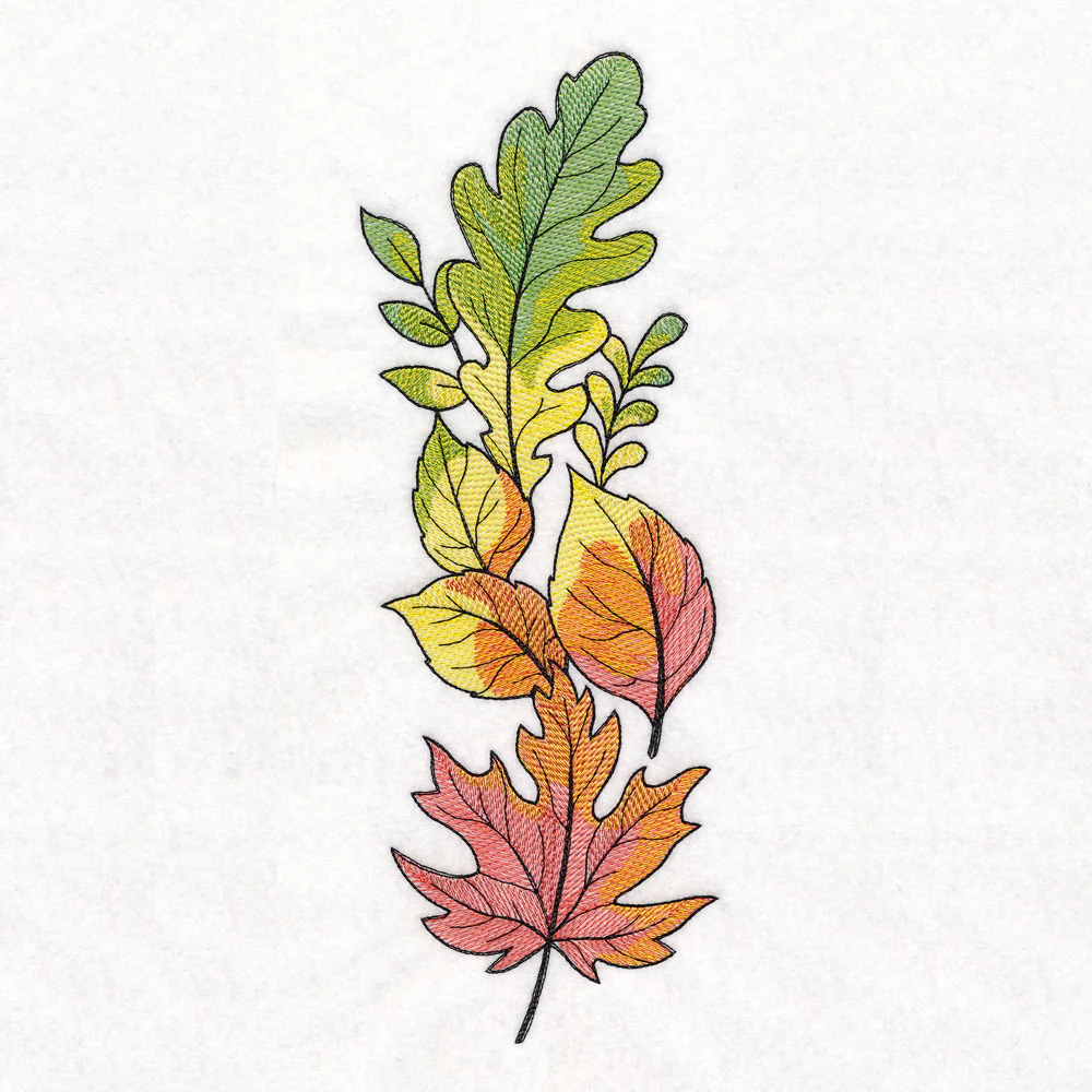 Color Theory Harvest Leaves Border