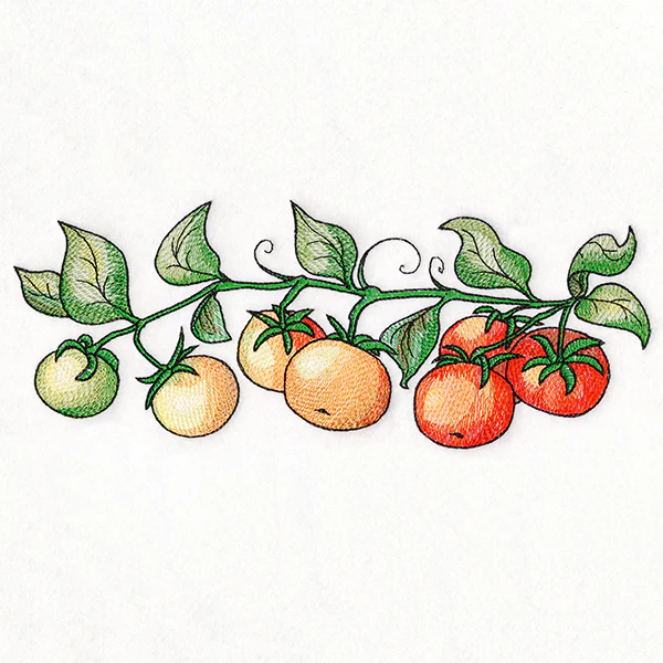 Color Theory Tomato Border - Image 3
