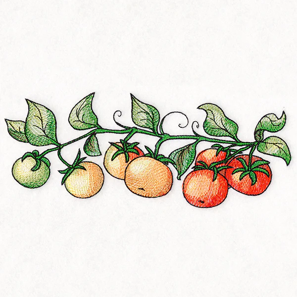 Color Theory Tomato Border - Image 5