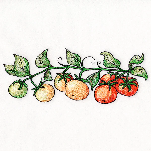 Color Theory Tomato Border - Image 7