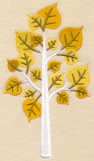 Colors of Fall - Aspen Tree - Image 3