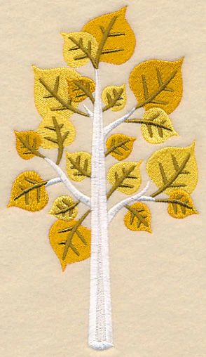 Colors of Fall - Aspen Tree - Image 4