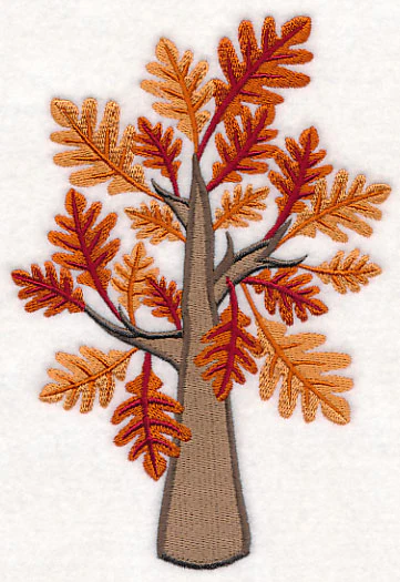 Colors of Fall - Oak Tree - Image 4