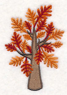 Colors of Fall - Oak Tree - Image 5