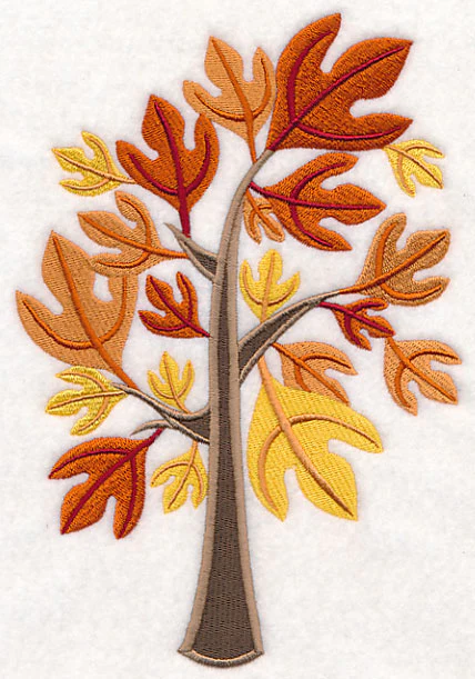 Colors of Fall - Sassafras Tree - Image 2