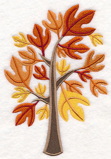 Colors of Fall - Sassafras Tree - Image 4