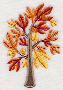 Colors of Fall - Sassafras Tree - Image 5