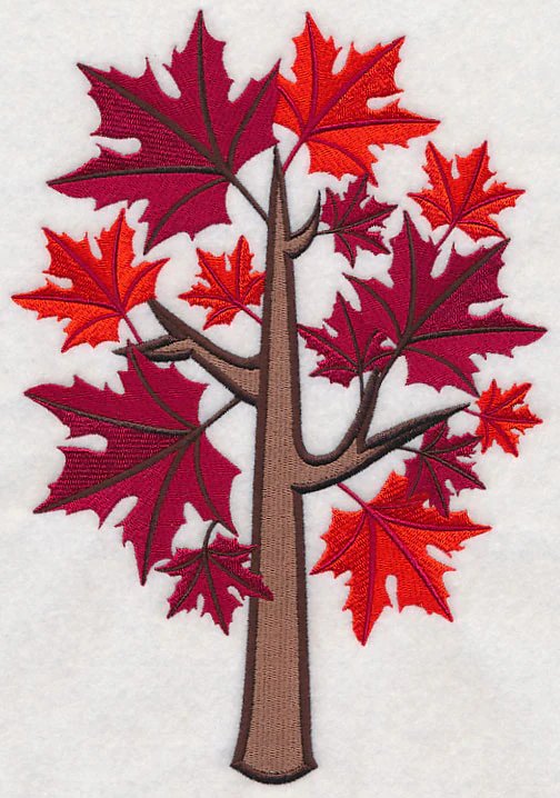 Colors of Fall - Sugar Maple Tree - Image 6
