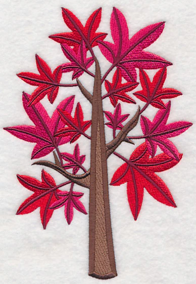 Colors of Fall - Sweet Gum Tree - Image 3