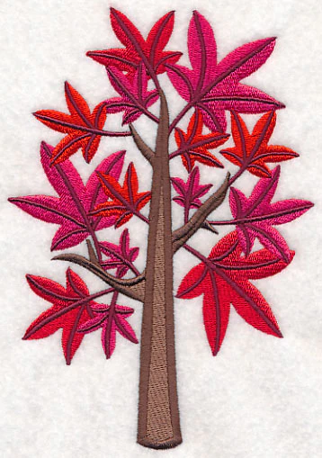 Colors of Fall - Sweet Gum Tree - Image 4
