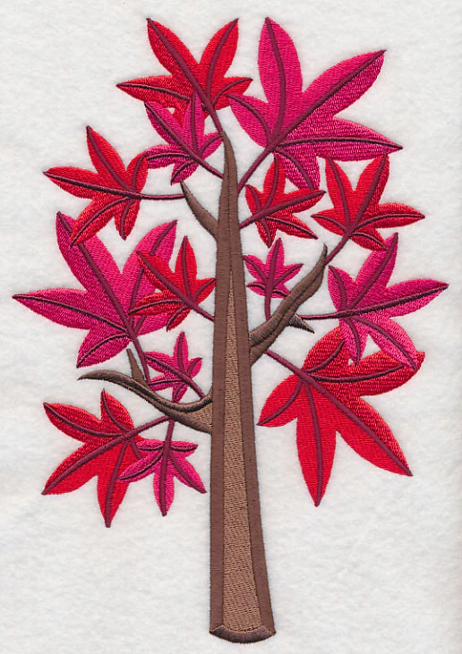 Colors of Fall - Sweet Gum Tree - Image 6