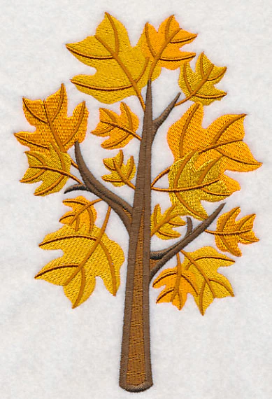 Colors of Fall - Yellow Poplar Tree - Image 3