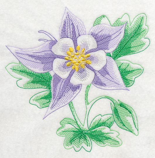 Columbine Beauty - Image 2