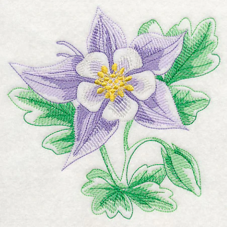 Columbine Beauty - Image 3