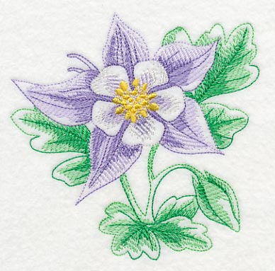 Columbine Beauty - Image 4