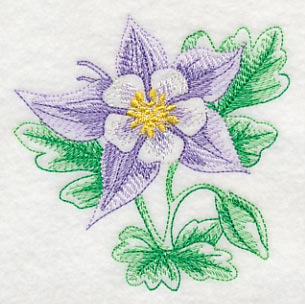 Columbine Beauty - Image 5
