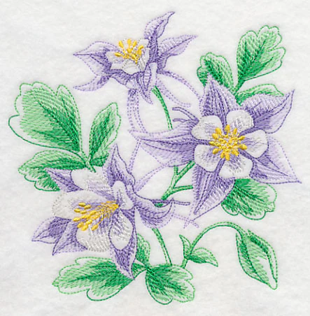 Columbine Sketch - Image 3