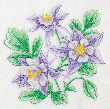 Columbine Sketch - Image 4
