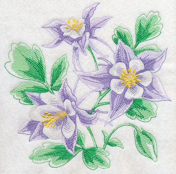 Columbine Sketch - Image 6