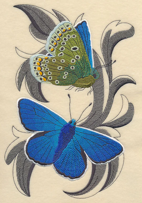 Common Blue Butterflies with Baroque Background - Image 5
