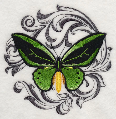 Common Green Birdwing with Baroque Background - Image 3