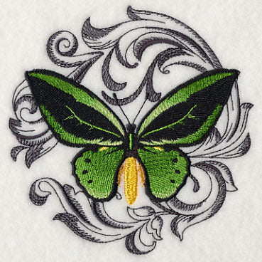 Common Green Birdwing with Baroque Background - Image 4