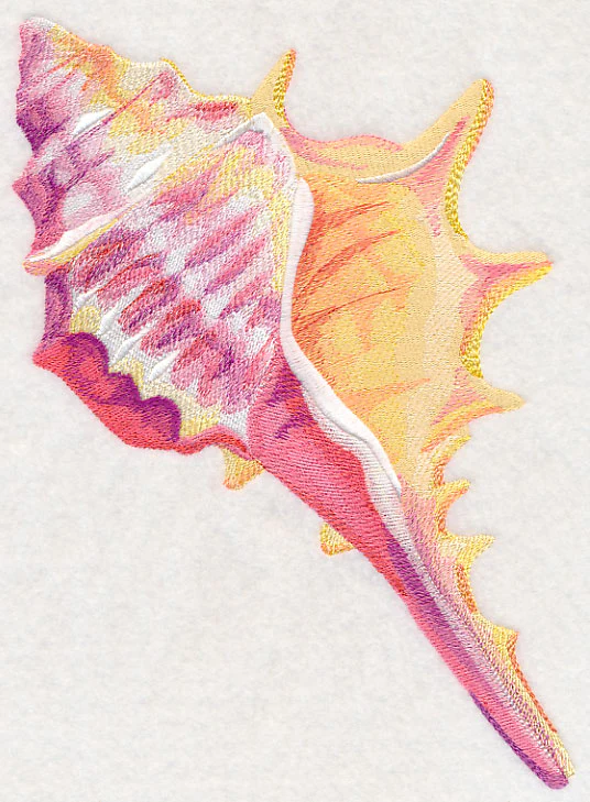 Conch Shell in Watercolor