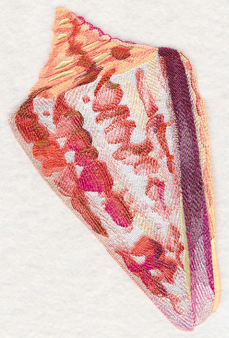 Cone Shell in Watercolor - Image 2
