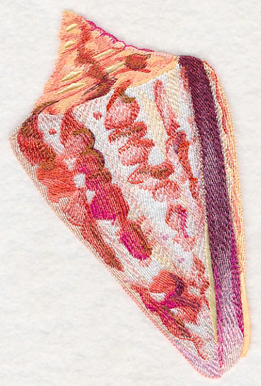 Cone Shell in Watercolor - Image 3