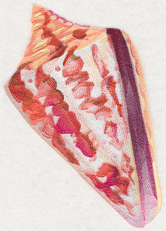 Cone Shell in Watercolor - Image 5