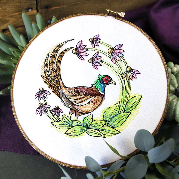 Coneflower Blooms Pheasant - Image 2