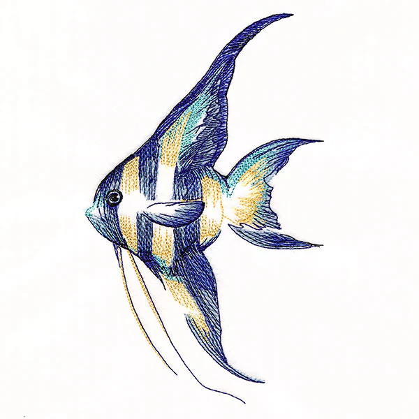 Contours of Beauty Angel Fish - Image 3