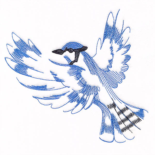 Contours of Beauty Blue Jay - Image 2