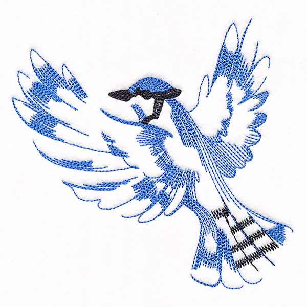 Contours of Beauty Blue Jay - Image 3