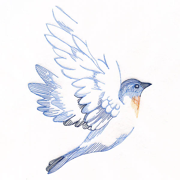 Contours of Beauty Bluebird