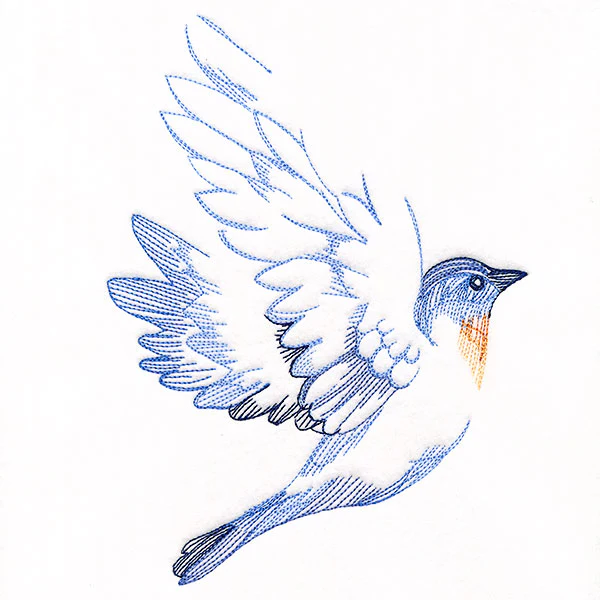 Contours of Beauty Bluebird - Image 3