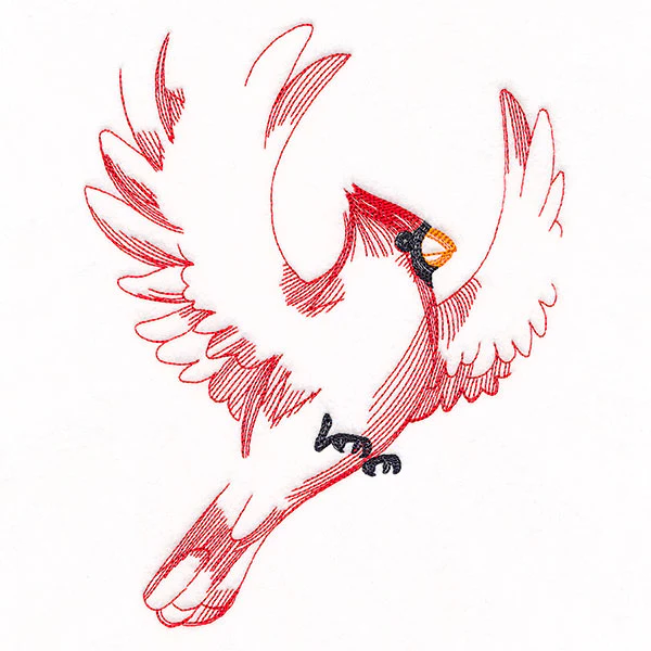 Contours of Beauty Cardinal - Image 10