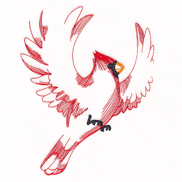 Contours of Beauty Cardinal - Image 4